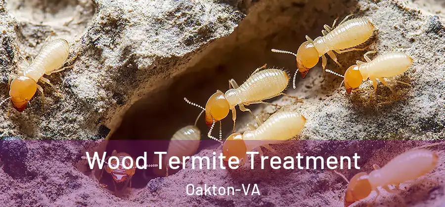 Wood Termite Treatment Oakton-VA