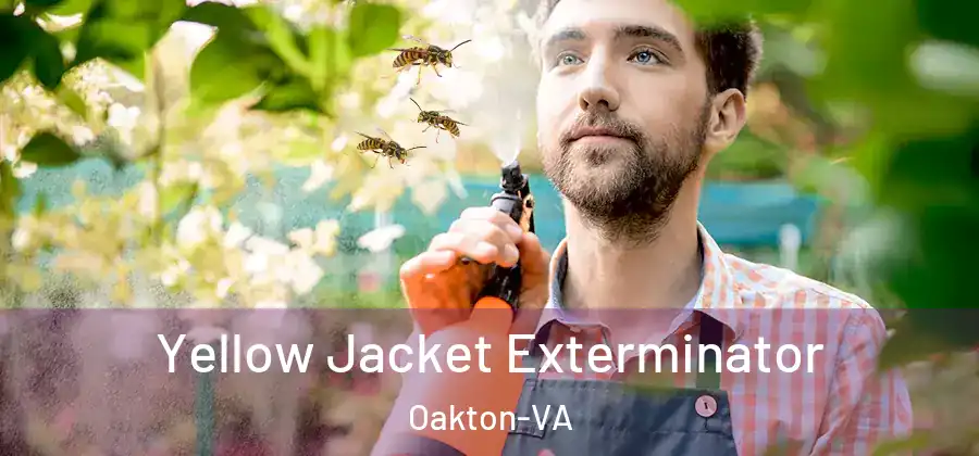 Yellow Jacket Exterminator Oakton-VA