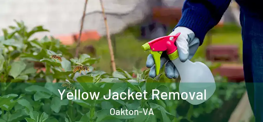 Yellow Jacket Removal Oakton-VA